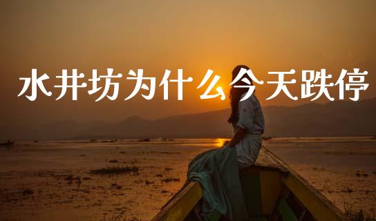 水井坊为什么今天跌停_https://wap.fcdydaikuan.com_期货品种_第1张