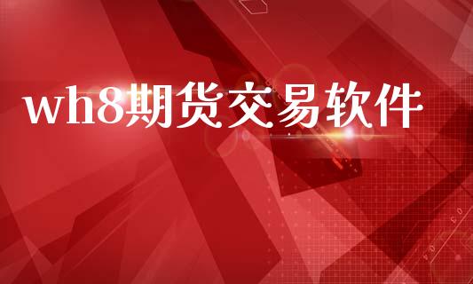 wh8期货交易软件_https://wap.fcdydaikuan.com_国际投资_第1张