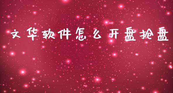 文华软件怎么开盘抢盘_https://wap.fcdydaikuan.com_投资策略_第1张