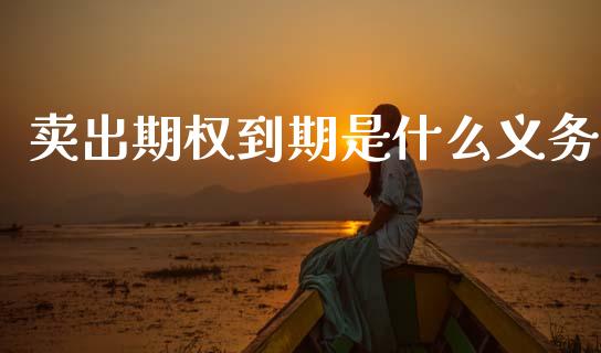 卖出期权到期是什么义务_https://wap.fcdydaikuan.com_金融机构_第1张