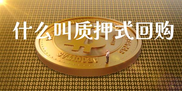 什么叫质押式回购_https://wap.fcdydaikuan.com_理财顾问_第1张