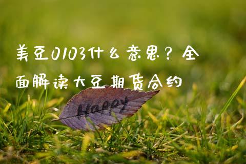 美豆0103什么意思？全面解读大豆期货合约_https://wap.fcdydaikuan.com_金融机构_第1张
