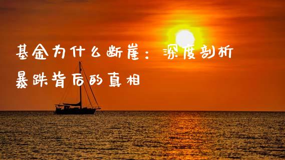 基金为什么断崖：深度剖析暴跌背后的真相_https://wap.fcdydaikuan.com_金融机构_第1张