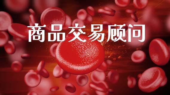 商品交易顾问_https://wap.fcdydaikuan.com_国际投资_第1张