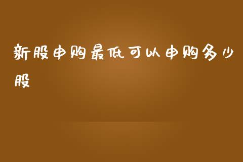 新股申购最低可以申购多少股_https://wap.fcdydaikuan.com_新股数据_第1张