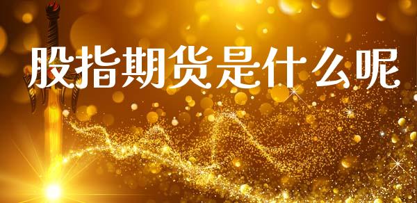 股指期货是什么呢_https://wap.fcdydaikuan.com_新股数据_第1张