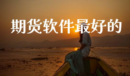 期货软件最好的_https://wap.fcdydaikuan.com_理财顾问_第1张