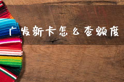广发新卡怎么查额度_https://wap.fcdydaikuan.com_新股数据_第1张
