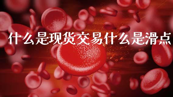 什么是现货交易什么是滑点_https://wap.fcdydaikuan.com_金融机构_第1张