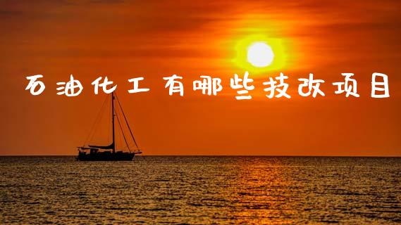 石油化工有哪些技改项目_https://wap.fcdydaikuan.com_金融机构_第1张
