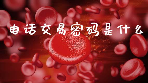 电话交易密码是什么_投资策略_第1张_国际投资_理财顾问_投资策略_金融机构 电话交易密码是什么_https://wap.fcdydaikuan.com_投资策略_第1张