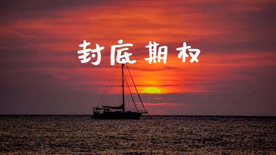 封底期权_https://wap.fcdydaikuan.com_理财顾问_第1张