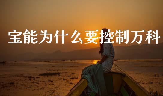 宝能为什么要控制万科_https://wap.fcdydaikuan.com_国际投资_第1张
