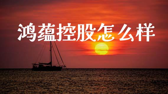鸿蕴控股怎么样_https://wap.fcdydaikuan.com_新股数据_第1张