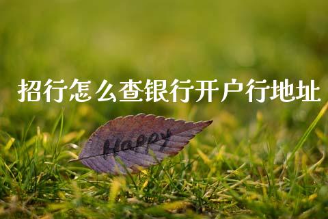 招行怎么查银行开户行地址_https://wap.fcdydaikuan.com_国际投资_第1张
