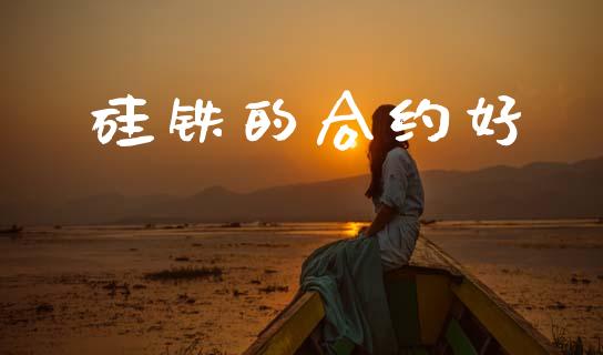 硅铁的合约好_https://wap.fcdydaikuan.com_理财顾问_第1张