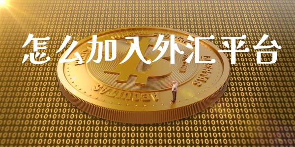 怎么加入外汇平台_https://wap.fcdydaikuan.com_理财顾问_第1张