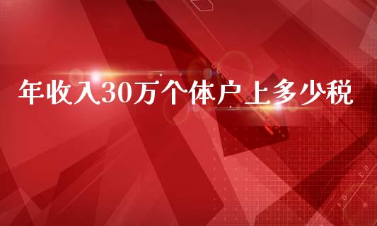 年收入30万个体户上多少税_https://wap.fcdydaikuan.com_国际投资_第1张