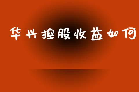 华兴控股收益如何_https://wap.fcdydaikuan.com_理财顾问_第1张