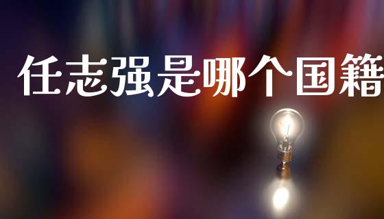 任志强是哪个国籍_https://wap.fcdydaikuan.com_新股数据_第1张