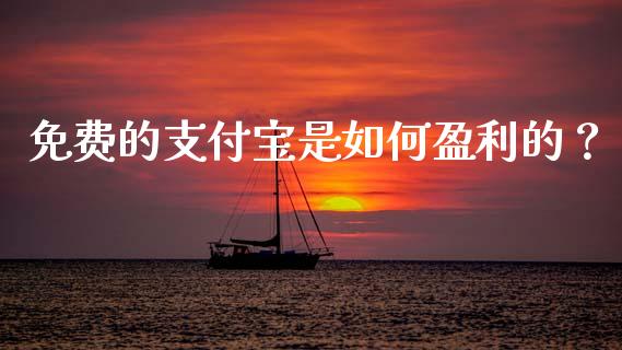 免费的支付宝是如何盈利的？_https://wap.fcdydaikuan.com_投资策略_第1张