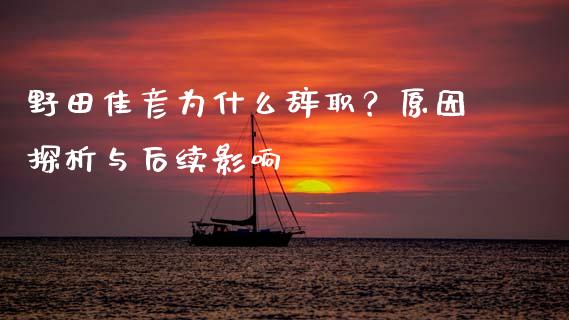 野田佳彦为什么辞职？原因探析与后续影响_https://wap.fcdydaikuan.com_新股数据_第1张