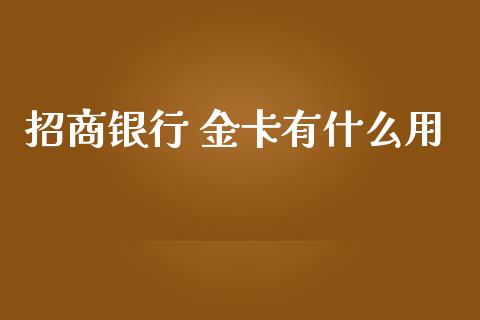 招商银行 金卡有什么用_https://wap.fcdydaikuan.com_理财顾问_第1张