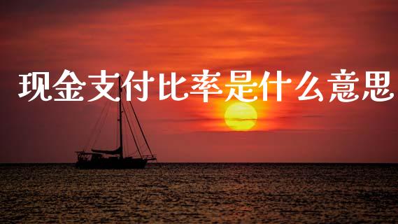 现金支付比率是什么意思_https://wap.fcdydaikuan.com_投资策略_第1张