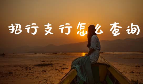 招行支行怎么查询_https://wap.fcdydaikuan.com_新股数据_第1张