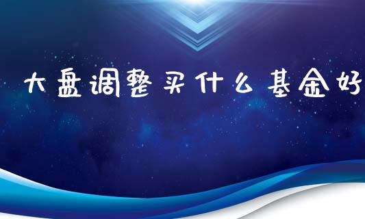 大盘调整买什么基金好_https://wap.fcdydaikuan.com_投资策略_第1张