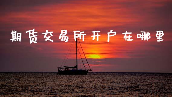 期货交易所开户在哪里_https://wap.fcdydaikuan.com_理财顾问_第1张