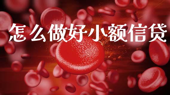 怎么做好小额信贷_https://wap.fcdydaikuan.com_金融机构_第1张