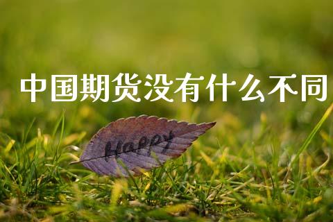 中国期货没有什么不同_https://wap.fcdydaikuan.com_投资策略_第1张