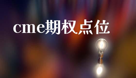 cme期权点位_https://wap.fcdydaikuan.com_期货品种_第1张