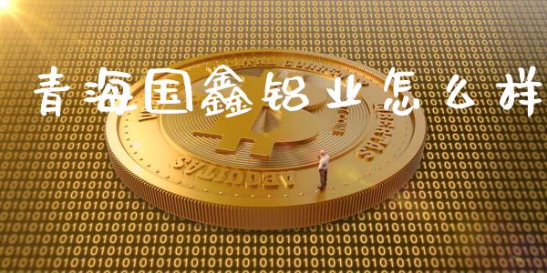 青海国鑫铝业怎么样_https://wap.fcdydaikuan.com_投资策略_第1张
