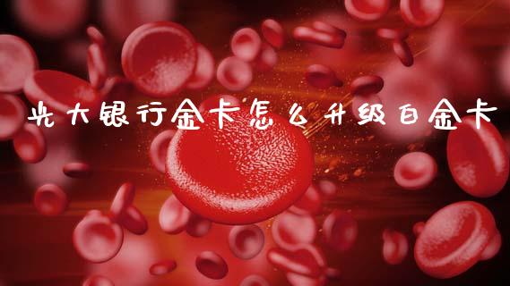 光大银行金卡怎么升级白金卡_https://wap.fcdydaikuan.com_投资策略_第1张