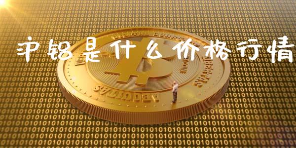 沪铝是什么价格行情_https://wap.fcdydaikuan.com_理财顾问_第1张