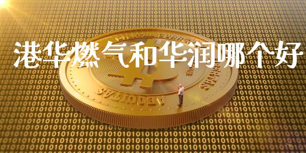 港华燃气和华润哪个好_https://wap.fcdydaikuan.com_金融机构_第1张