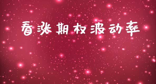 看涨期权波动率_https://wap.fcdydaikuan.com_国际投资_第1张