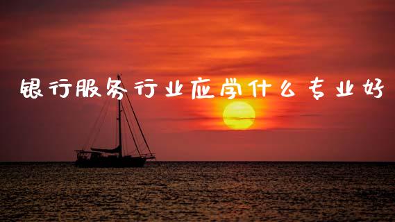 银行服务行业应学什么专业好_https://wap.fcdydaikuan.com_国际投资_第1张