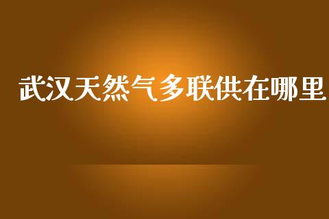 武汉天然气多联供在哪里_https://wap.fcdydaikuan.com_理财顾问_第1张