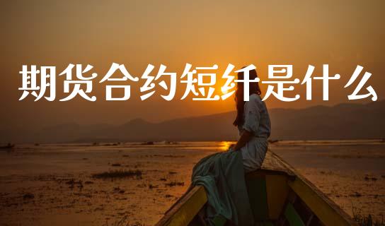 期货合约短纤是什么_https://wap.fcdydaikuan.com_投资策略_第1张
