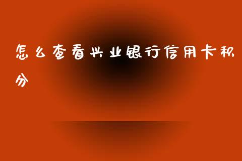 怎么查看兴业银行信用卡积分_https://wap.fcdydaikuan.com_新股数据_第1张