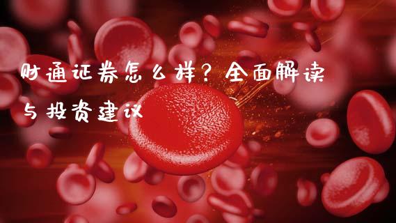 财通证券怎么样？全面解读与投资建议_https://wap.fcdydaikuan.com_金融机构_第1张