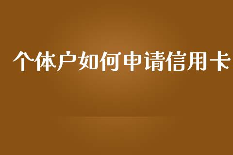 个体户如何申请信用卡_https://wap.fcdydaikuan.com_投资策略_第1张