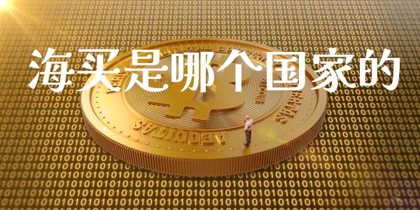 海买是哪个国家的_https://wap.fcdydaikuan.com_金融机构_第1张