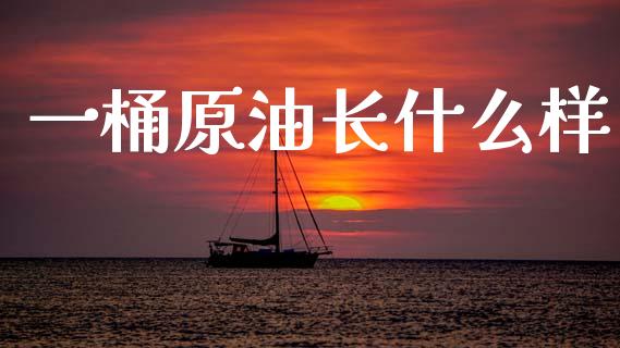 一桶原油长什么样_https://wap.fcdydaikuan.com_金融机构_第1张