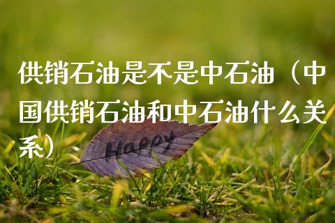 供销石油是不是中石油(中国供销石油和中石油什么关系)_投资策略_第1张_国际投资_理财顾问_投资策略_金融机构 供销石油是不是中石油(中国供销石油和中石油什么关系)_https://wap.fcdydaikuan.com_投资策略_第1张