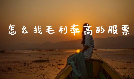 怎么找毛利率高的股票_https://wap.fcdydaikuan.com_投资策略_第1张
