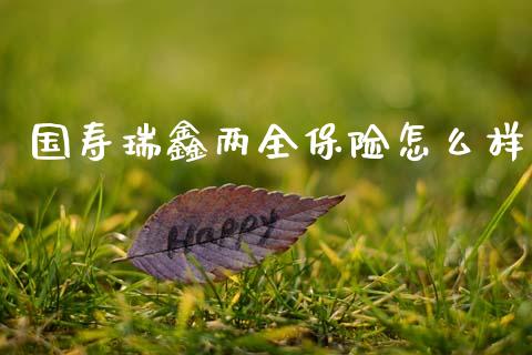 国寿瑞鑫两全保险怎么样_https://wap.fcdydaikuan.com_国际投资_第1张